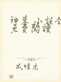 神墓 小说全文免费阅读