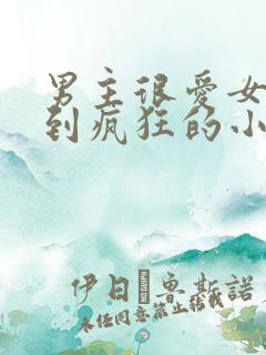 男主很爱女主爱到疯狂的小说现言