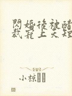 闪婚后被醋王总裁宠上天短剧免费观看