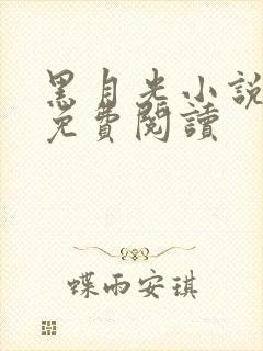 黑月光小说全文免费阅读