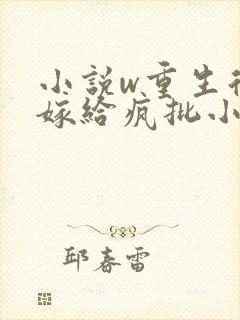 小说w重生后,嫁给疯批小皇叔》