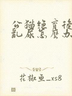 公猫绝育后还会乱尿怎么办