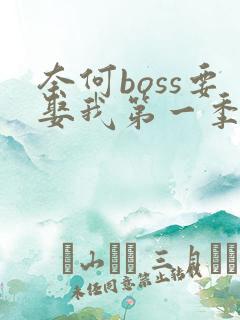 奈何boss要娶我第一季全集免费
