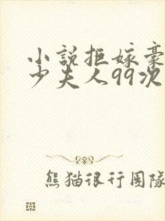 小说拒嫁豪门:少夫人99次出逃