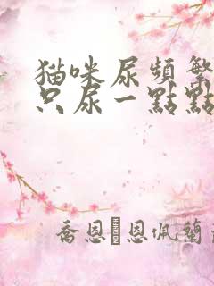 猫咪尿频繁一次只尿一点点怎么办