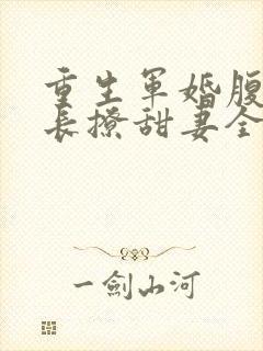 重生军婚腹黑首长撩甜妻全文阅读