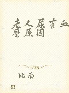 老人尿有血是什么原因