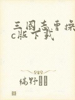 三国志曹操传pc版下载