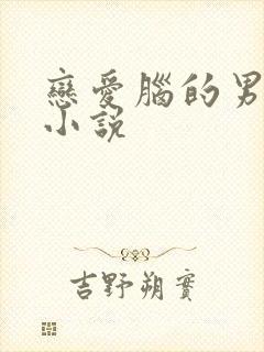 恋爱脑的男主的小说