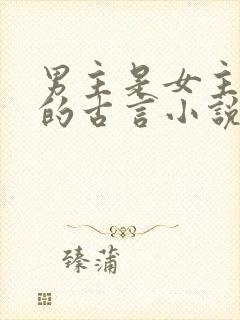 男主是女主小叔的古言小说