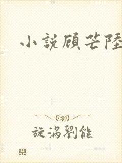 小说顾芒陆承洲