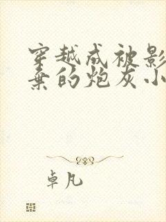 穿越成被影帝抛弃的炮灰小说免费