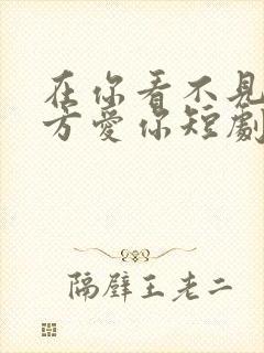 在你看不见的地方爱你短剧100集