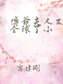 傅爷夫人又惊艳全球了小