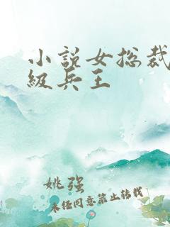 小说女总裁的顶级兵王