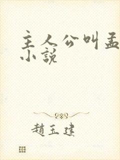 主人公叫孟凡的小说