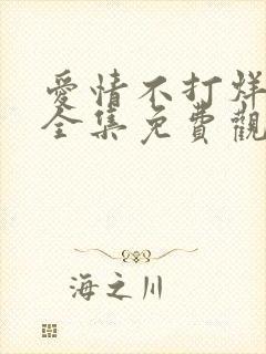 爱情不打烊短剧全集免费观看高清版