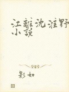 江离沈淮野末日小说