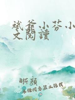 斌爷小芬小说全文阅读