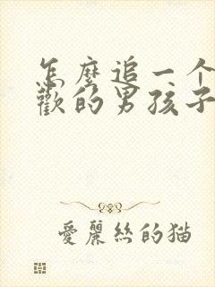 怎么追一个 喜欢的男孩子