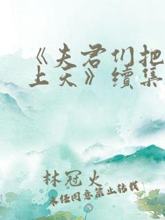 《夫君们把我宠上天》续集