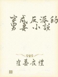 穿成反派的替身男妻 小说