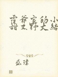 霍爷家的小祖宗甜又野大结局