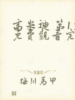 高米迪 第1季免费观看完整版高清