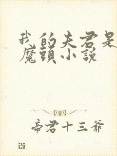 我的夫君是灭世魔头小说