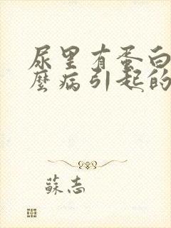 尿里有蛋白是什么病引起的