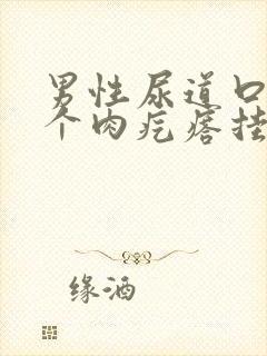 男性尿道口长了个肉疙瘩挂什么科