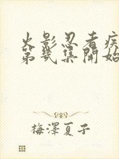 火影忍者疾风传第几集开始的