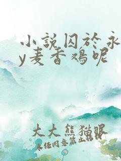 小说囚于永夜by麦香鸡呢