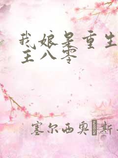 我娘是重生文女主八零