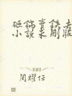 砸锅卖铁去上学小说未删版