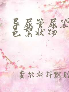 导尿管尿袋里红色絮状物