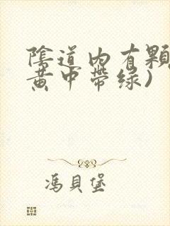 阴道内有颗粒(黄中带绿)