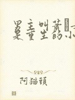 男主叫萧玦女主是重生的小说