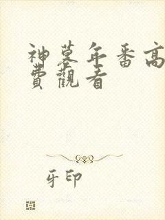 神墓年番高清免费观看