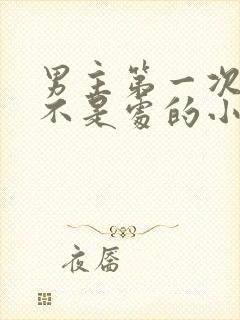 男主第一次女主不是处的小说