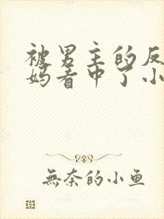 被男主的反派妈妈看中了小说免费