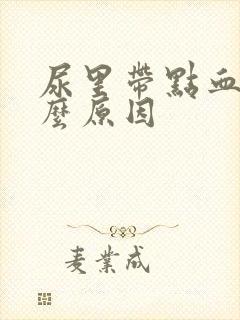 尿里带点血是什么原因