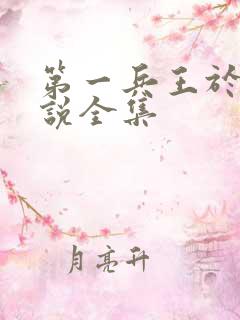 第一兵王于枫小说全集