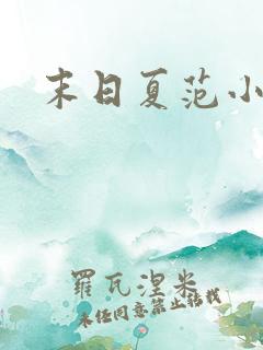末日夏范小说