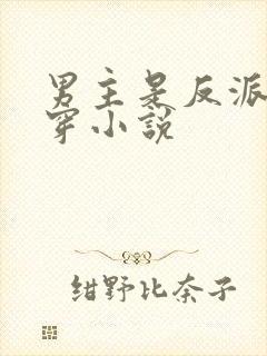 男主是反派的快穿小说