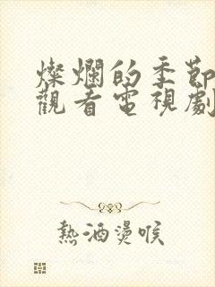 灿烂的季节免费观看电视剧全集