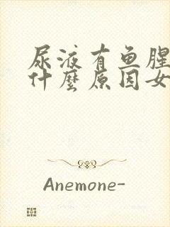 尿液有鱼腥味是什么原因女性