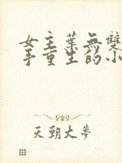 女主叶无双是杀手重生的小说