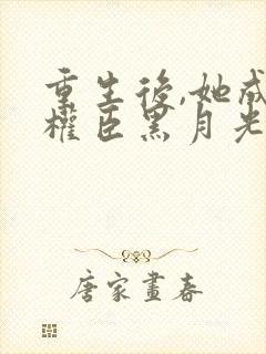 重生后,她成了权臣黑月光在线版