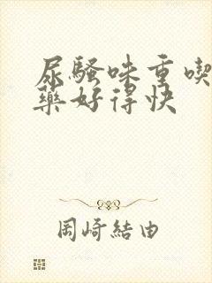 尿骚味重吃什么药好得快